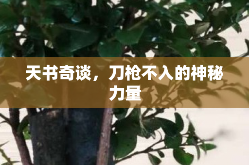 刀枪不入的神秘力量图片