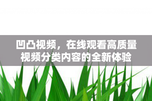 在线观看高质量视频分类内容的全新体验图片