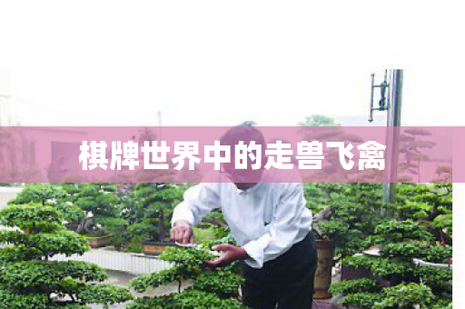 棋牌世界中的走兽飞禽图片
