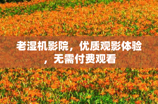 优质观影体验图片