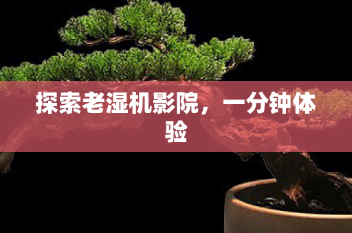 探索老湿机影院图片