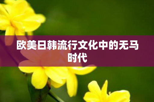 欧美日韩流行文化中的无马时代图片