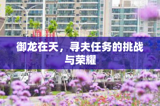 寻夫任务的挑战与荣耀图片