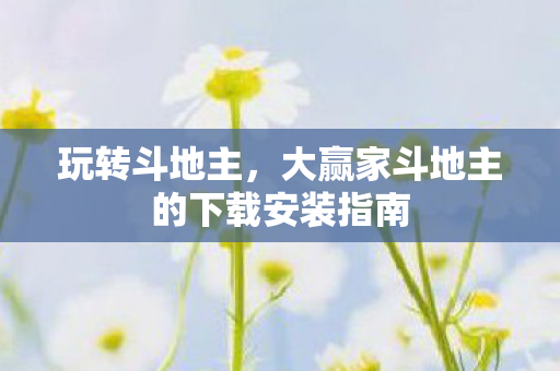 大赢家斗地主的下载安装指南图片