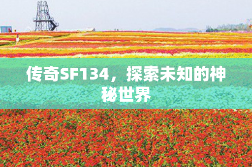 探索未知的神秘世界图片