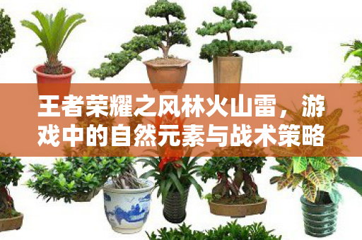 游戏中的自然元素与战术策略图片
