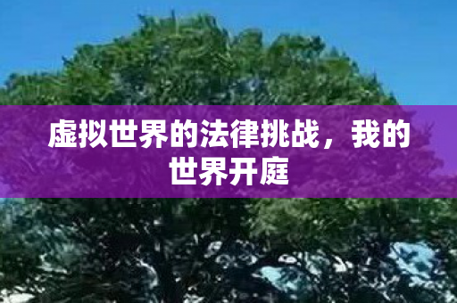 虚拟世界的法律挑战图片