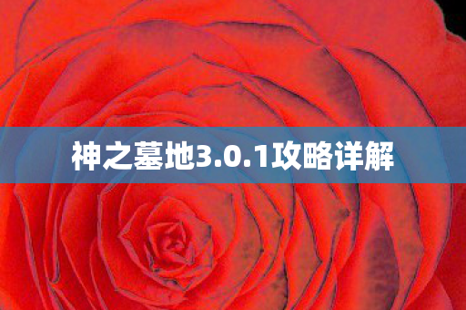 神之墓地3图片