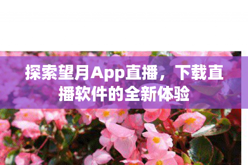 下载直播软件的全新体验图片