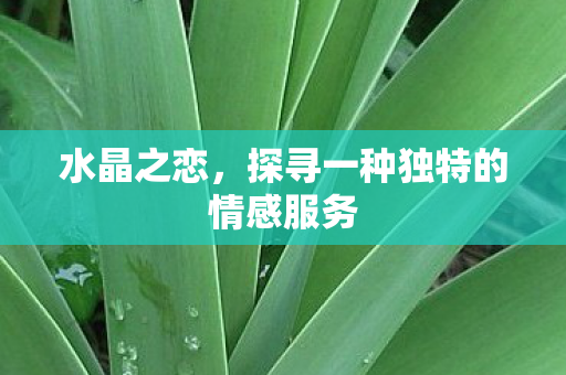 探寻一种独特的情感服务图片