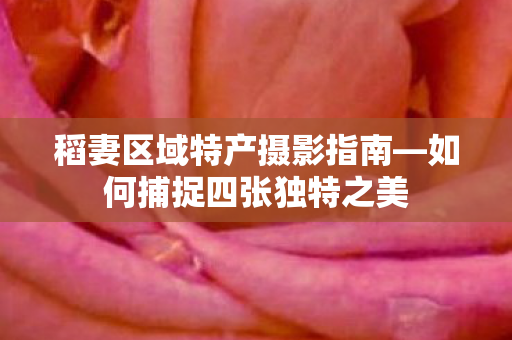 稻妻区域特产摄影指南图片