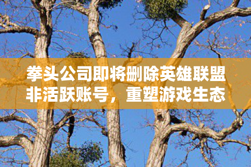拳头公司即将删除英雄联盟非活跃账号图片