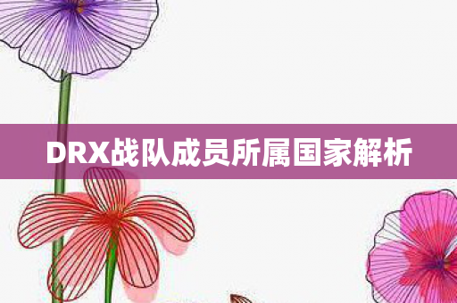 DRX战队成员所属国家解析图片