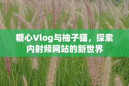 探索内射频网站的新世界图片