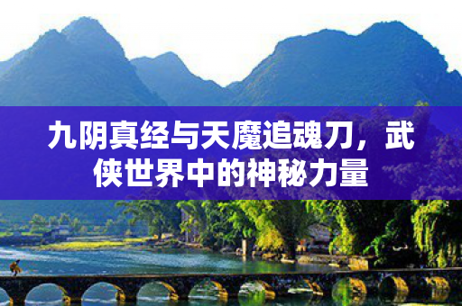 九阴真经与天魔追魂刀图片