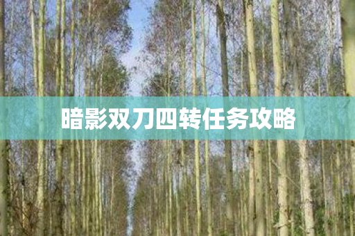 暗影双刀四转任务攻略图片
