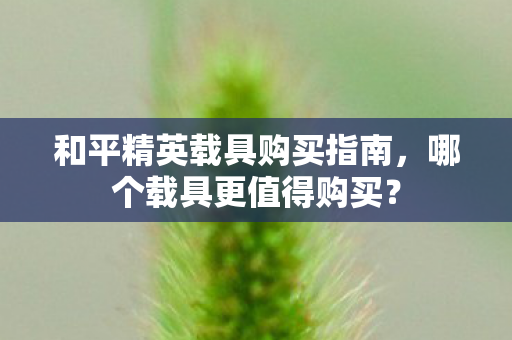 和平精英载具购买指南图片