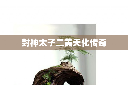 封神太子二黄天化传奇图片