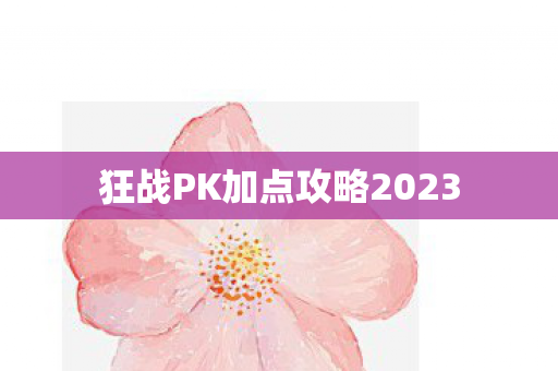 狂战PK加点攻略2023图片