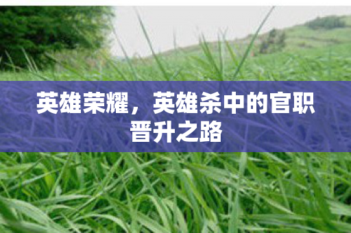 英雄杀中的官职晋升之路图片