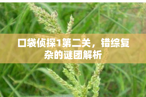 错综复杂的谜团解析图片