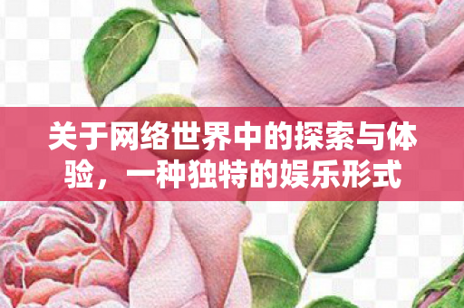 关于网络世界中的探索与体验图片