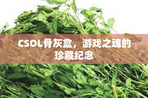 游戏之魂的珍藏纪念图片