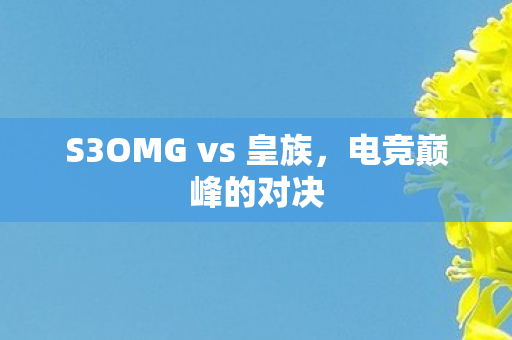 S3OMG vs 皇族图片