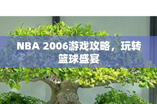 NBA 2006游戏攻略图片