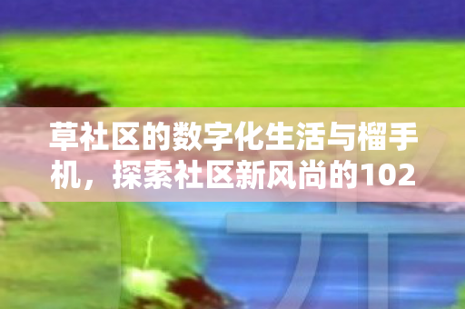 探索社区新风尚的1024种可能图片