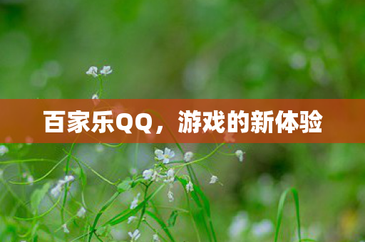游戏的新体验图片