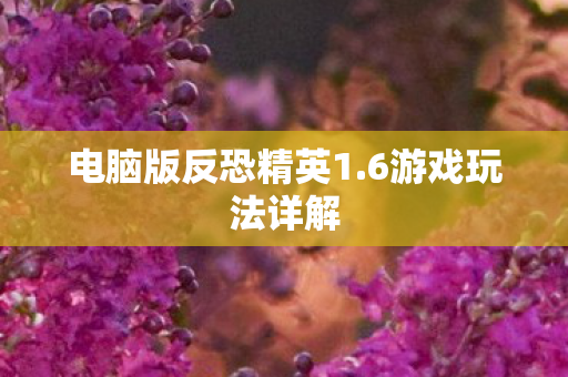 电脑版反恐精英1图片