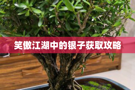 笑傲江湖中的银子获取攻略图片