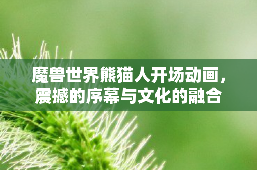 魔兽世界熊猫人开场动画图片