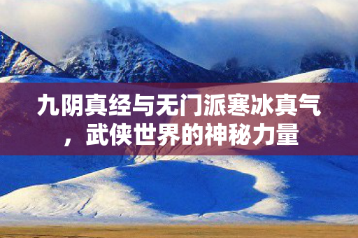 九阴真经与无门派寒冰真气图片