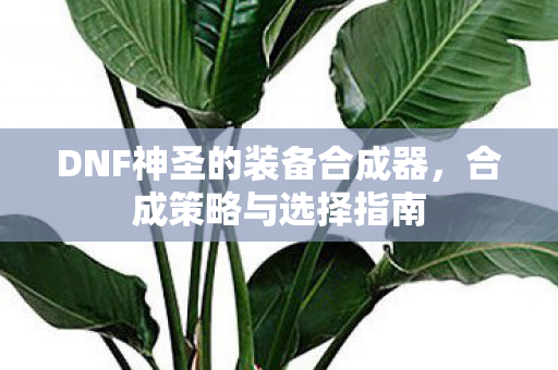 DNF神圣的装备合成器图片