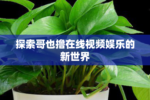 探索哥也撸在线视频娱乐的新世界图片