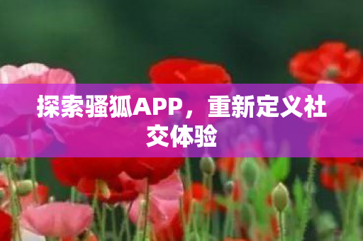 重新定义社交体验图片