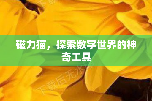 探索数字世界的神奇工具图片
