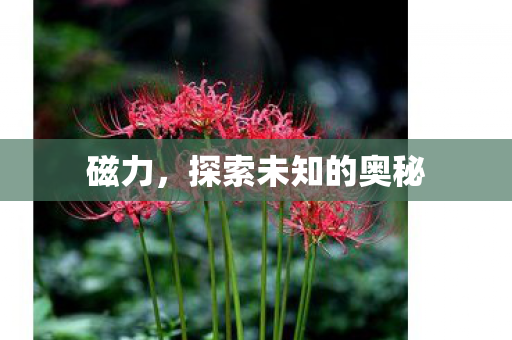 探索未知的奥秘图片