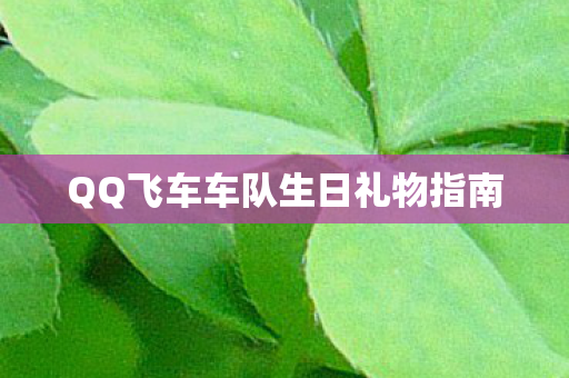 QQ飞车车队生日礼物指南图片