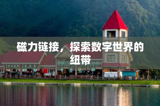 探索数字世界的纽带图片