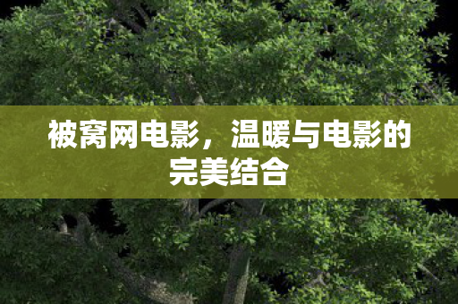 温暖与电影的完美结合图片