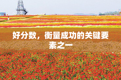 衡量成功的关键要素之一图片