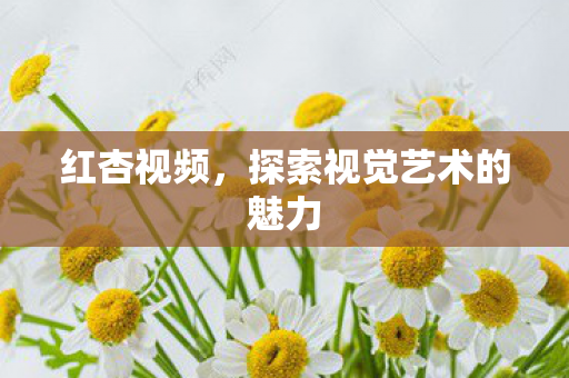 探索视觉艺术的魅力图片