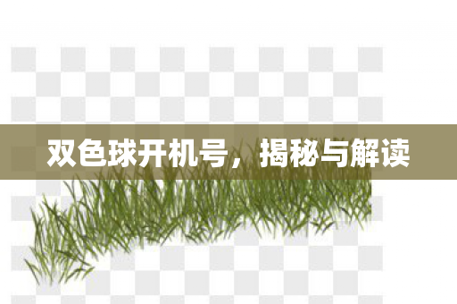 双色球开机号图片