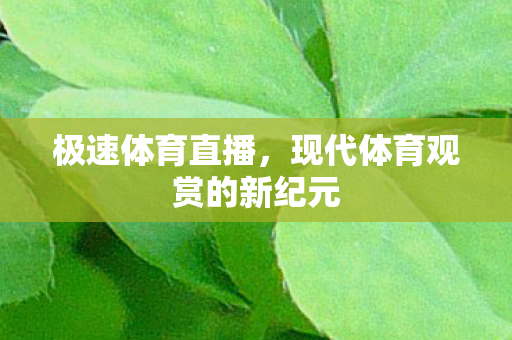 现代体育观赏的新纪元图片
