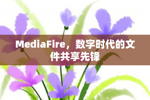 数字时代的文件共享先锋图片
