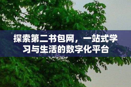 一站式学习与生活的数字化平台图片