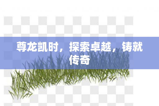 尊龙凯时图片
